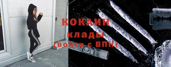 индика Сатка